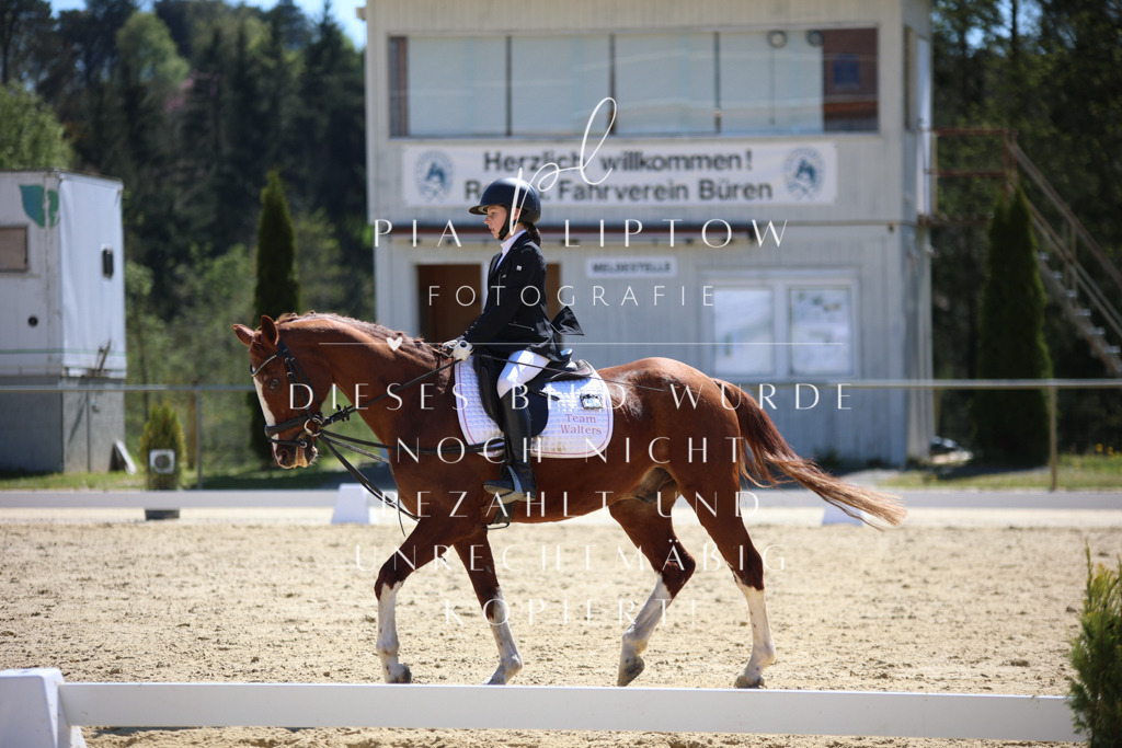 IMGT0611 | pl-fotografie