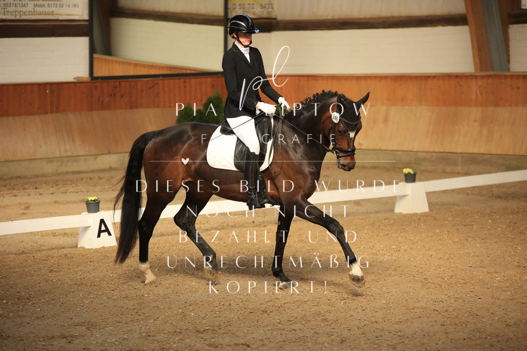 IMGT4298 | pl-fotografie