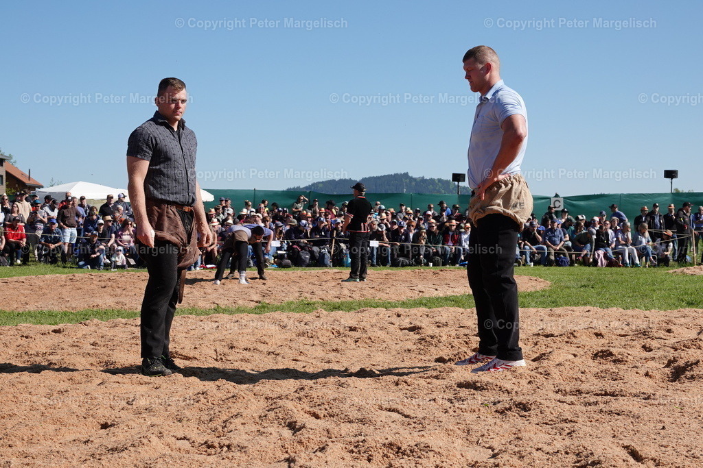 DSC00898 | Schwingen - Realisiert mit Pictrs.com