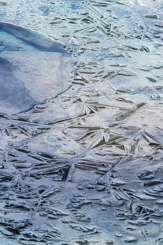 d_2023_02_0196 | Ausdrucksstarke Naturfotografien | Fotokunst Wandbilder zur Raumgestaltung für Zuhause | Praxis und Büro| Hotels und Wellness | Kanzlei und Repräsentanz. Hochwertig, individuell, flexibel. - Realisiert mit Pictrs.com