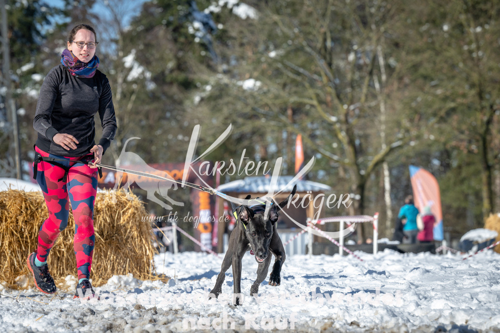 1117_ZZ91227-3 | kk-dogfotos