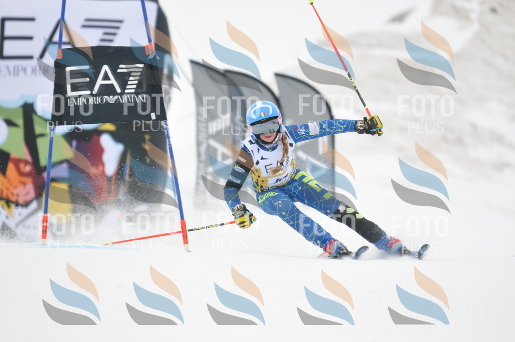 DSC_8172 | holidayphoto