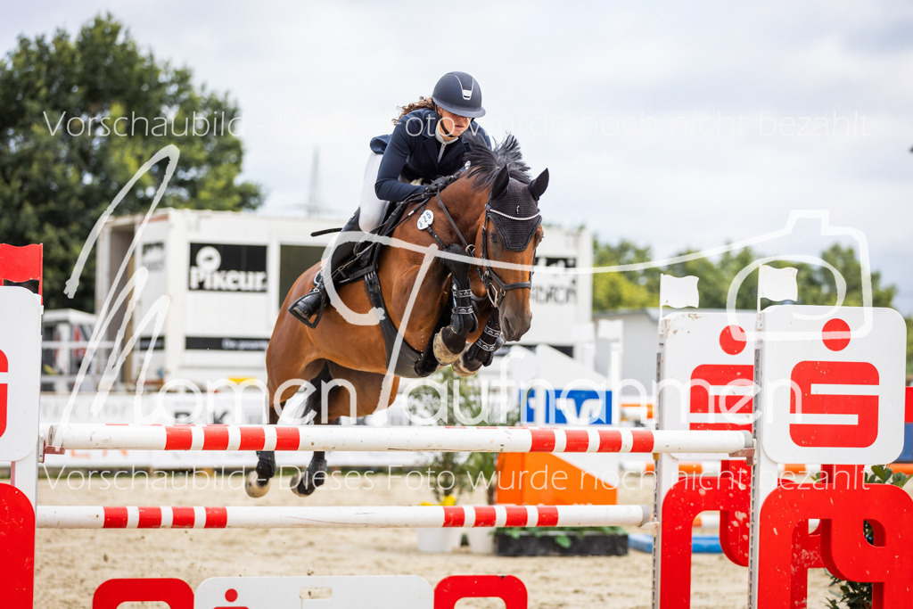 BHO-2PhSpr-M-5-2178 | MomenTaufnahmen Pferdesportfotos