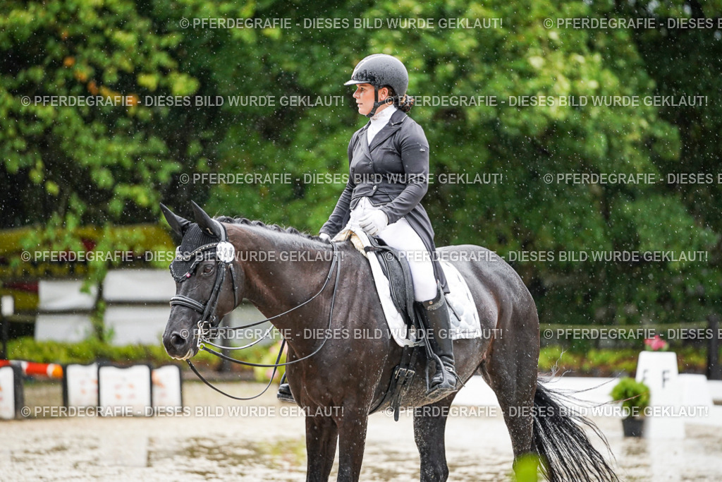 DSC08514 | Pferdegrafie