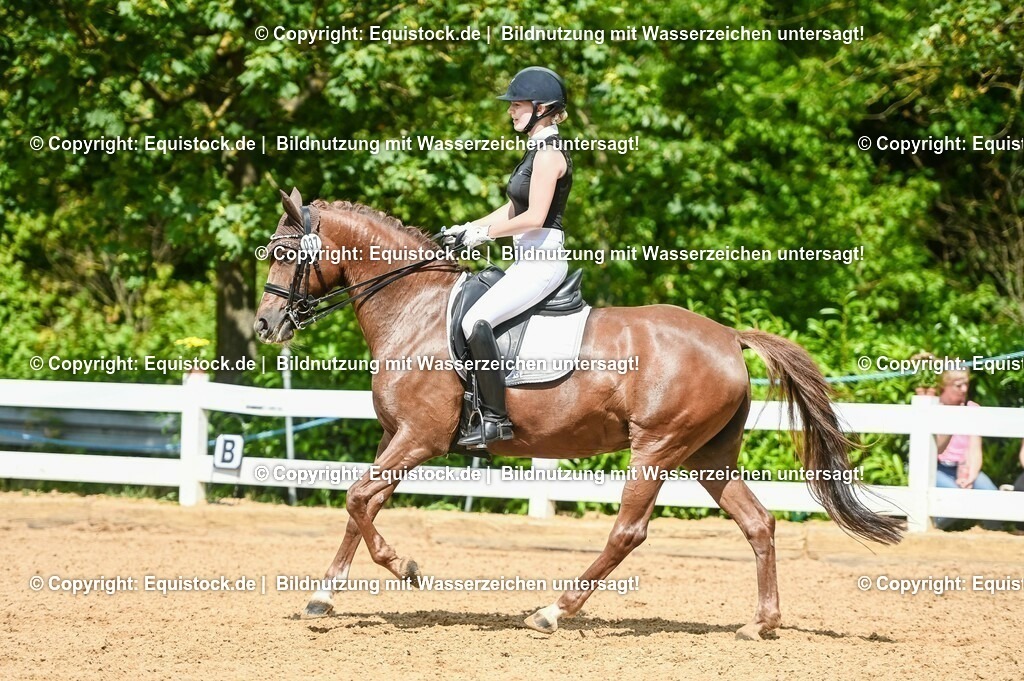 20230716_01_Dressurprüfung Kl.M_0337 | equistock