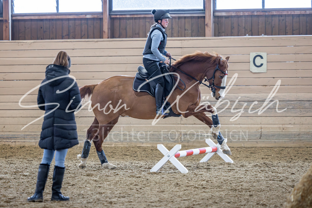 20260221-_3LI9895 | Tierfotografie Pferde, Hunde, Katzen, Haustiere.
Turnierfotografie Reitturniere, Reiten, Springreiten, Dressur in Hanau, dem Main-Kinzig-Kreis und dem Rhein-Main- Gebiet um Frankfurt