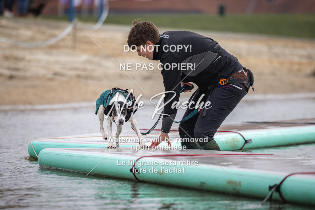nelerasche_Hulsbeek_Sa1130-1230_664 | nelerasche