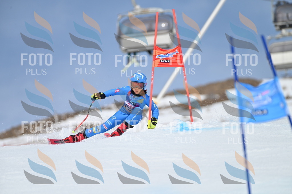 BGV_1158 | holidayphoto