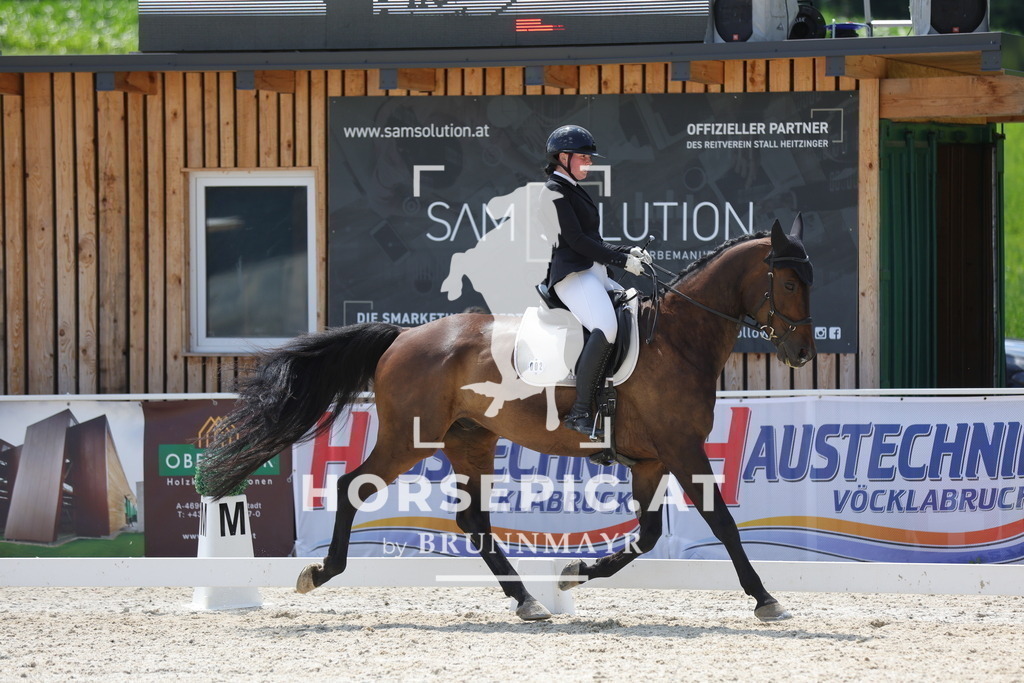 0P6A1332 | Willkommen bei Brunnmayr - Design & Fotografie – Ihrem Spezialisten für Reitturniere und Pferdeveranstaltungen in Oberösterreich, Salzburg und Bayern! Seit über 17 Jahren sind wir leidenschaftlich dabei.