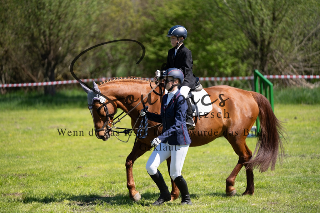 A7V01272 | Pferdefotograf