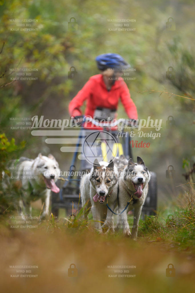 MompixPhotography_20TSB_E4_Kart-26 | PayLife