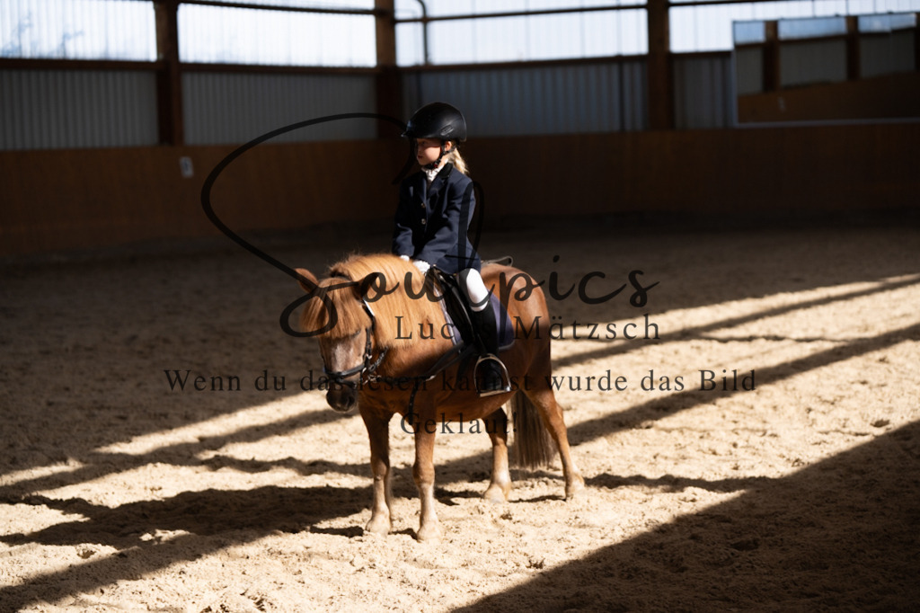 A7V02152 | Turnier/Reitfotograf