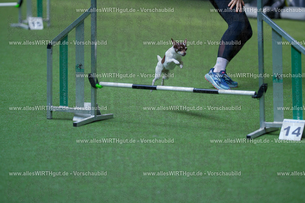 @allesWIRTHgut_Tierfotografie - www.allesWIRTHgut.de - 2604261445-7R503616 | Professionelle Tierfotografie in Mönchengladbach von Daniel Wirth (allesWIRTHgut). Liebevolle & natürliche Bilder von Hunden & Katzen für unvergessliche Erinnerungen.