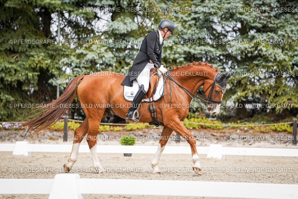 DSC06539 | Pferdegrafie