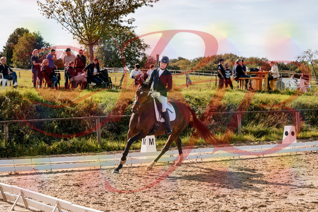 2026_10_03_Siefer-Hof_125627_Z63_63798579 | Professionelle Reitsport-, Turnier- und Eventfotografie von Robert Broda. Galerien mit ausgewählten und bearbeiteten Bildern direkt online ansehen und bestellen.