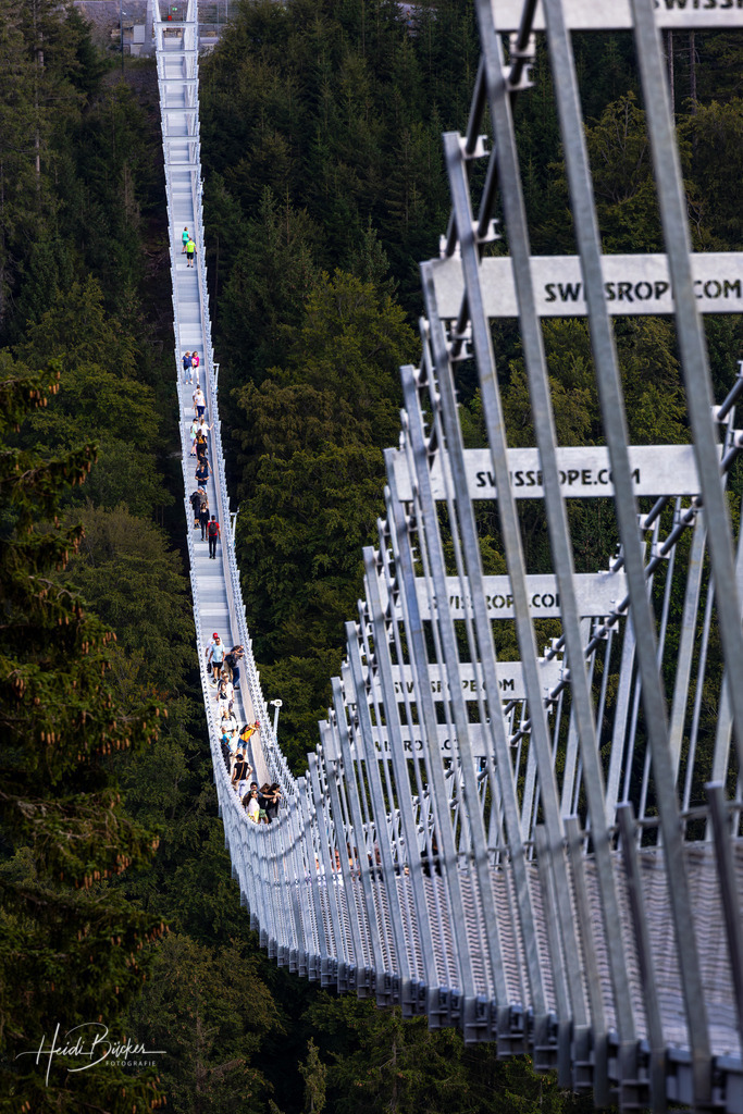 Skywalk Willingen 02x | Der Skywalk Willingen ist die längste Hängebrücke Deutschlands und die zweitlängste der Welt. - Realisiert mit Pictrs.com
