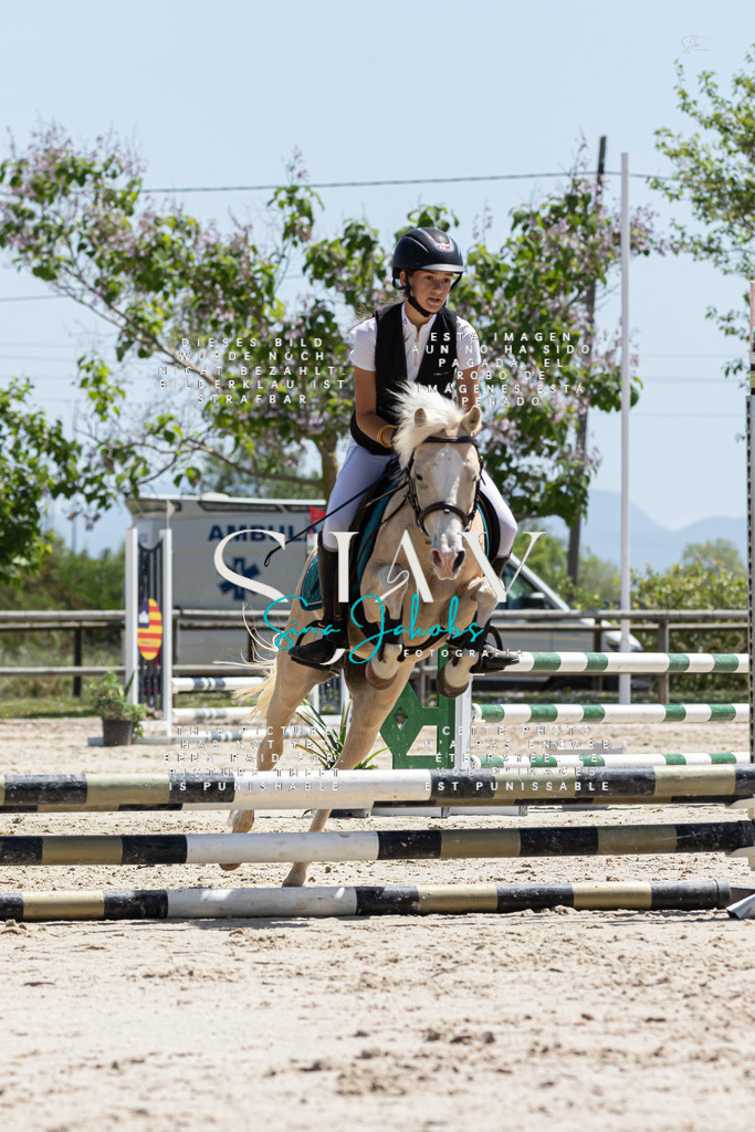 IMG_0303 | s-jay-photography - Realisiert mit Pictrs.com