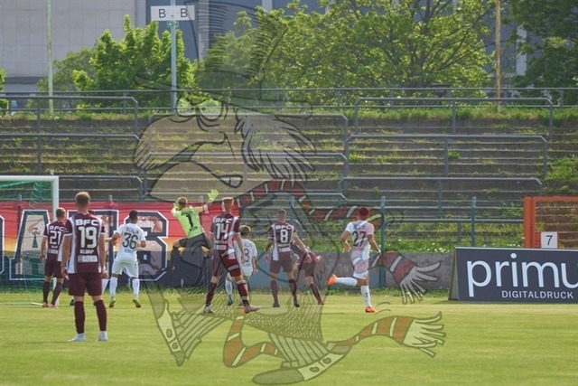 BFC Dynamo vs. Berliner AK 07 035 | mythos-online-redaktion