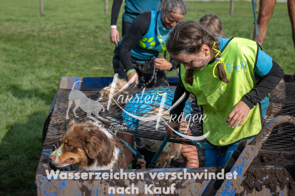 1617_ZZ92247 | kk-dogfotos