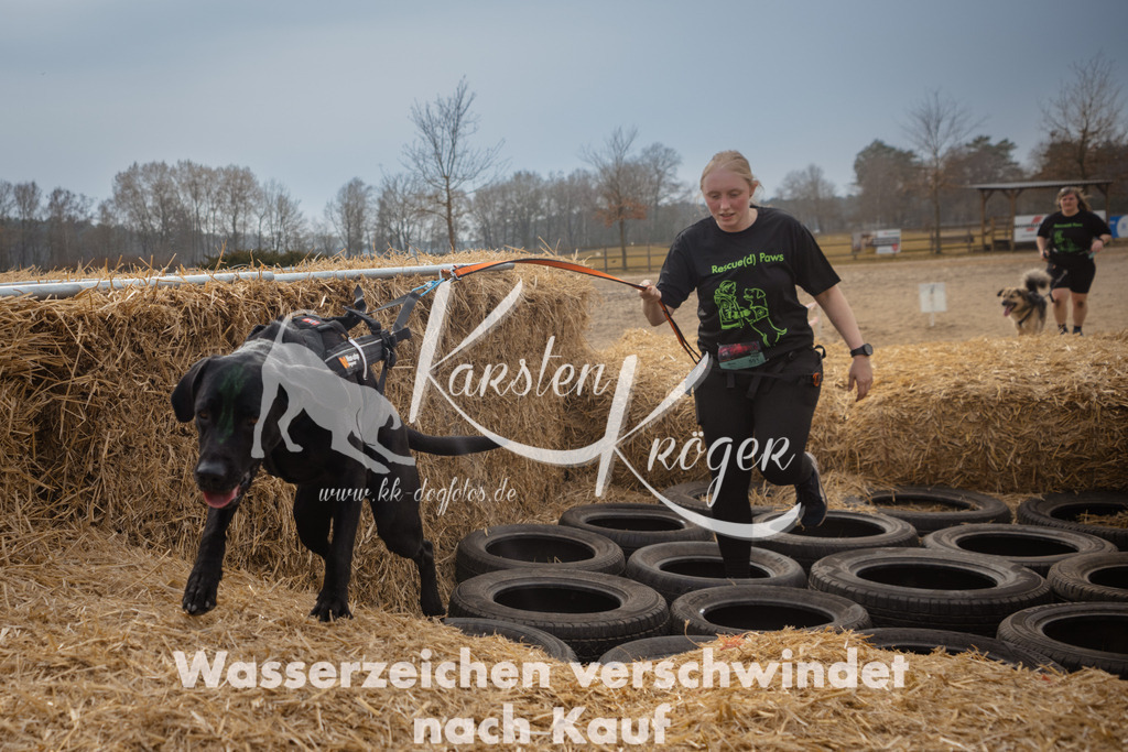 1225_ZZ95718 | kk-dogfotos