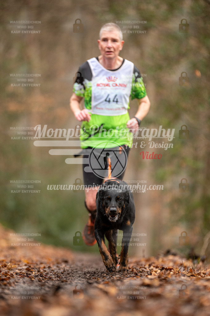 SPA_2023_DIM_CCL-109 | PayLife