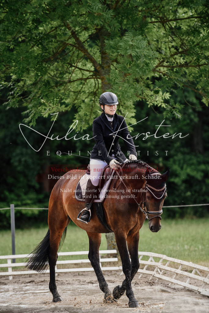 DSC_0739 | Pferde- und Turnierfotografie in Westsachsen. Pferdeportraits, Auftragszeichnungen und intuitive Kunst.