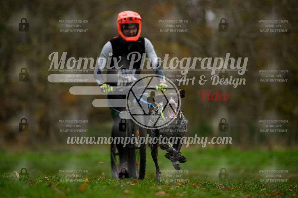 MompixPhotography_Bischwiller24_SA_DS1-6 | PayLife