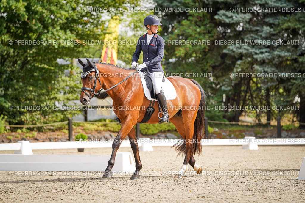 DSC07583 | Pferdegrafie