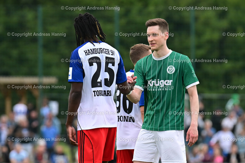 Fußball I Herren I Testspiel  I TSV Elstorf - Hamburger SV I 5.7.2025 | a-hannig - Realisiert mit Pictrs.com