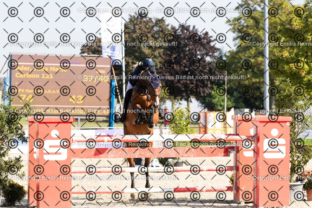 CL5A6256 | Emilia Reinking Fotografie - Realisiert mit Pictrs.com