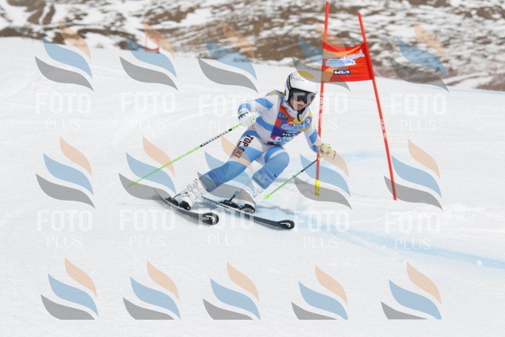 _U3G2914 | holidayphoto