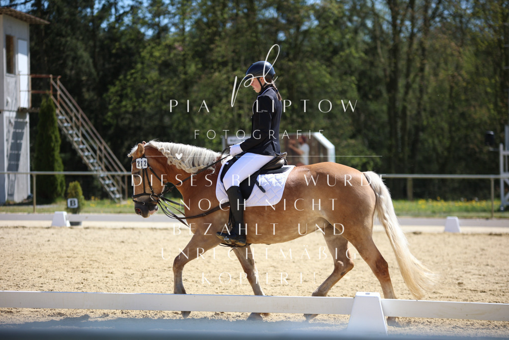 IMGT1117 | pl-fotografie