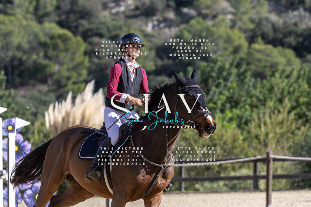 IMG_0343 | s-jay-photography - Realisiert mit Pictrs.com