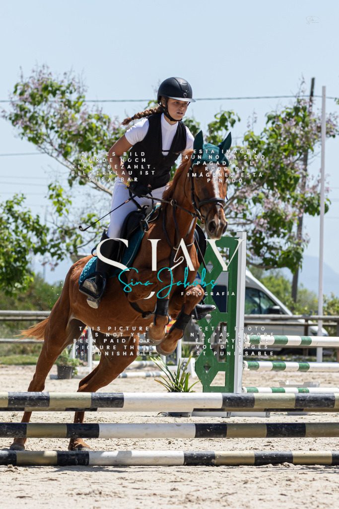 IMG_0219 | s-jay-photography - Realisiert mit Pictrs.com