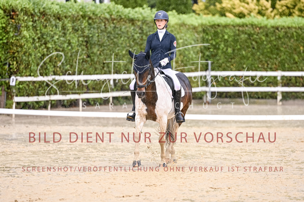 Schugtsche-Aluta25-55.Dressurreiterprf.L1Tr-371 | Schugtsche Fotografie - Realisiert mit Pictrs.com