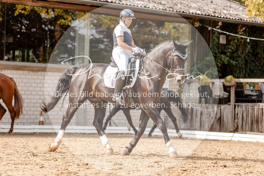3I6A4157 | Stimmungsvolle Portraits und Reitsportfotografie im Ruhrgebiet und im Münsterland.

Pferdefotografie, Hundefotografie, Tierfotografie, Reportagen, Portraits von Tier und Mensch, Turnierfotografie in Bochum, Recklinghausen, Marl, Haltern am See, Dülmen.. - Realisiert mit Pictrs.com