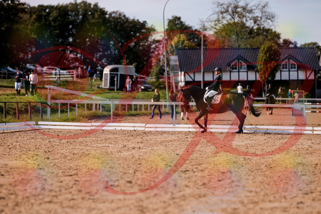 2026_10_03_Siefer-Hof_130850_Z81_62078348 | Professionelle Reitsport-, Turnier- und Eventfotografie von Robert Broda. Galerien mit ausgewählten und bearbeiteten Bildern direkt online ansehen und bestellen.