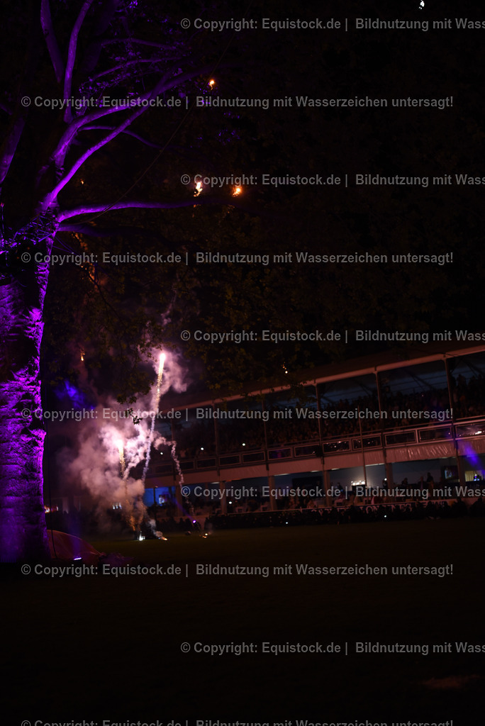 20230526_Pferdenacht_1599 | equistock