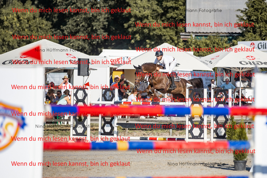 BK1A8712 | Turnierbilder Turnierfotos Nina Hüffmann Turnierfotografie Pferdefotografie Tierzeichnung Haustierzeichnung Pferdezeichnung Hundezeichnung Videograf  - Realisiert mit Pictrs.com