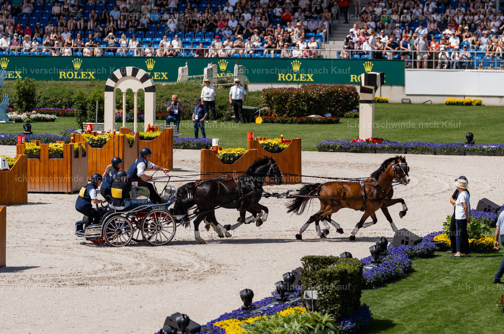 TSCHIO26_JandD_Stoibphotography_DSC7393.jpg | working equitationturnier fotograf videograf stoibphotography marixx film working equitation deutschland reitsport turnierfotografie eventfotografie equestrian events