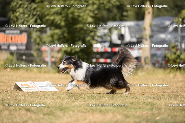 _DSC6491 | levihelfersfotografie