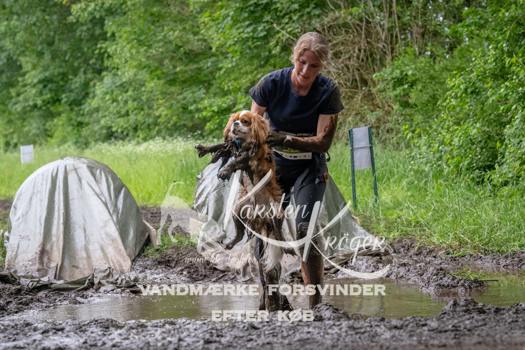 1619_ZZ93401-Bearbeitet | kk-dogfotos