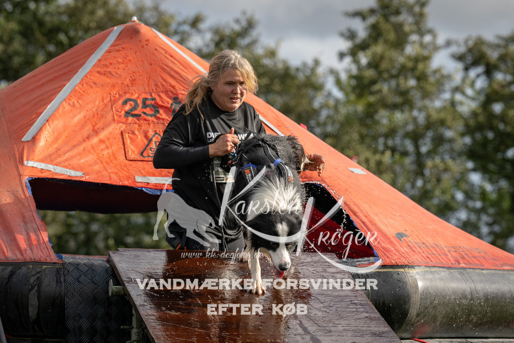 1419-93950 | kk-dogfotos