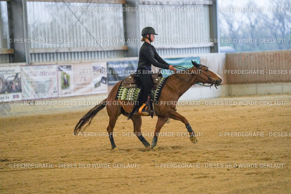 DSC09479 | Pferdegrafie