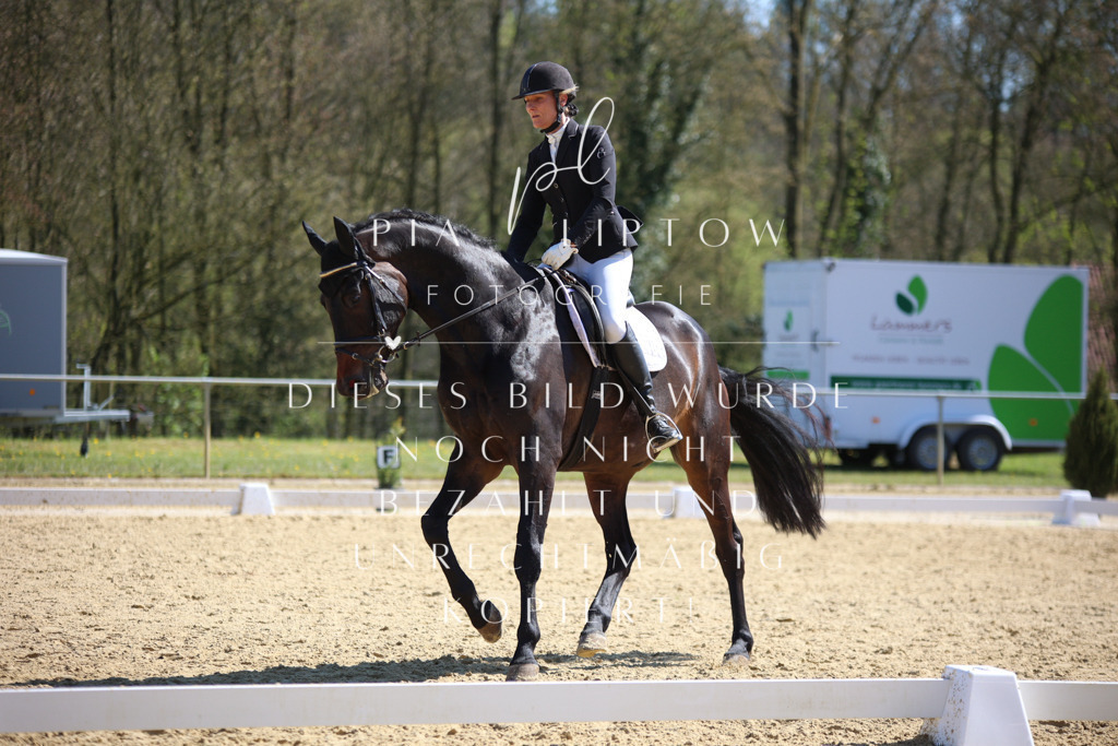 IMGT8149 | pl-fotografie