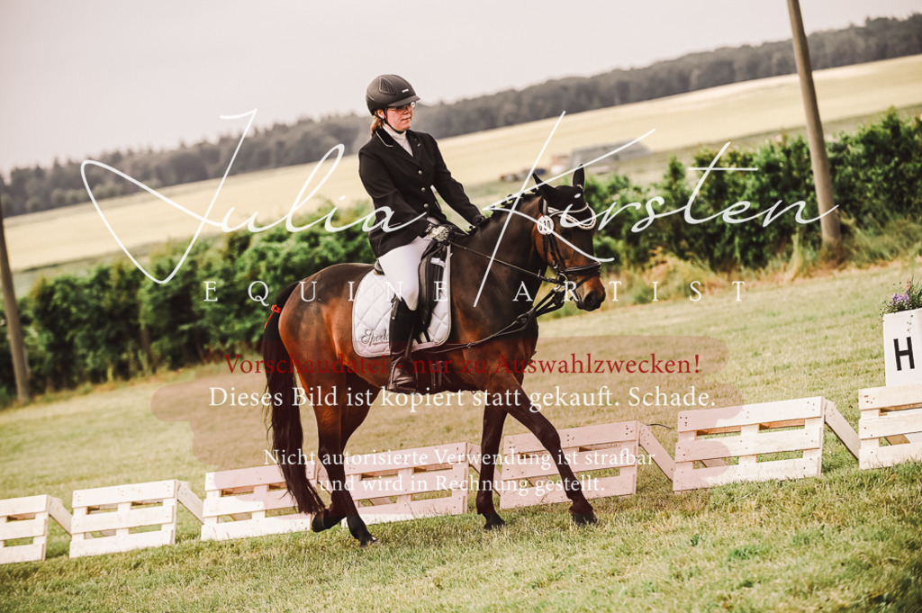 DSC_4885 | Pferde- und Turnierfotografie in Westsachsen. Pferdeportraits, Auftragszeichnungen und intuitive Kunst.