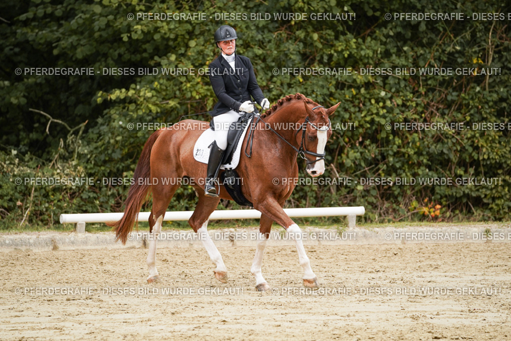 DSC00306 | Pferdegrafie