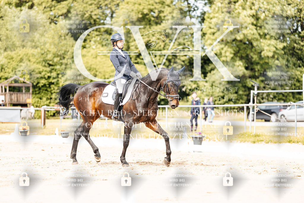 CK901165 | Turnierfotografie Pferdefotografie Trier Rheinland-Pfalz Pferdesport Reitsport Tierfotografie Sportfotografie Pferdevideo Pferdevideografie Equestrianvideography equestrianphotography  - Realisiert mit Pictrs.com