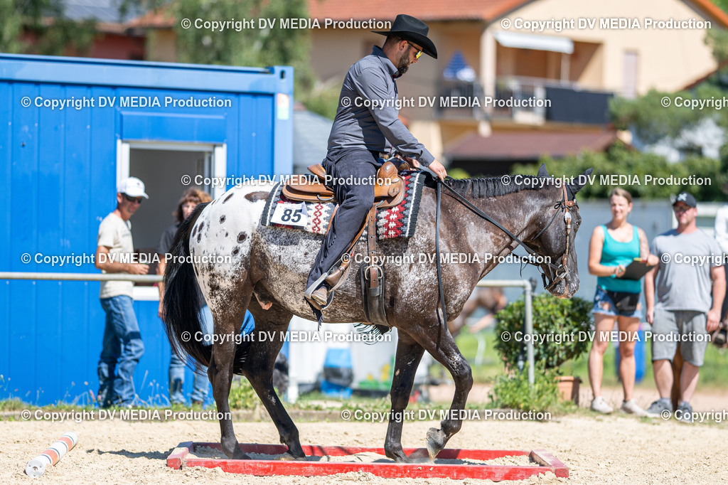 LM Heiligenwald Tag 1-1450 | dv-media-shop - Realisiert mit Pictrs.com