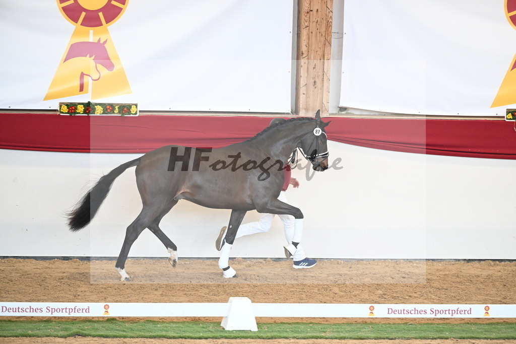 Kat.-Nr. 87 v. Vitalis_Berger _ Beckmann_2250947 | hf-fotografie - Realisiert mit Pictrs.com